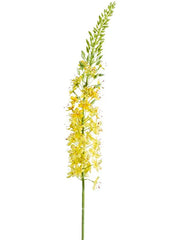Eremurus Artificial Plant Premium Faux 105cm Height
