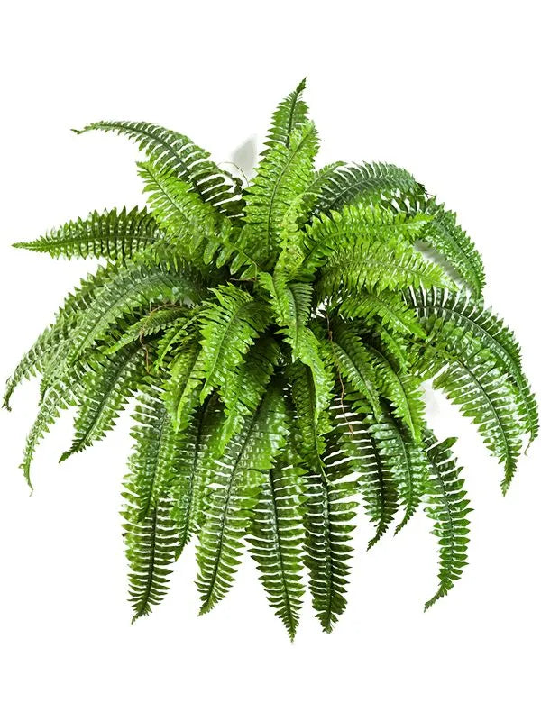 Fern Boston Artificial Plant Premium Faux 60cm Height