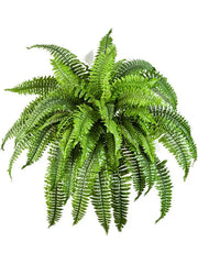Fern Boston Artificial Plant Premium Faux 60cm Height