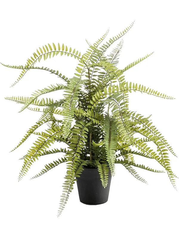 Fern Boston Artificial Plant Premium Faux 70cm Height