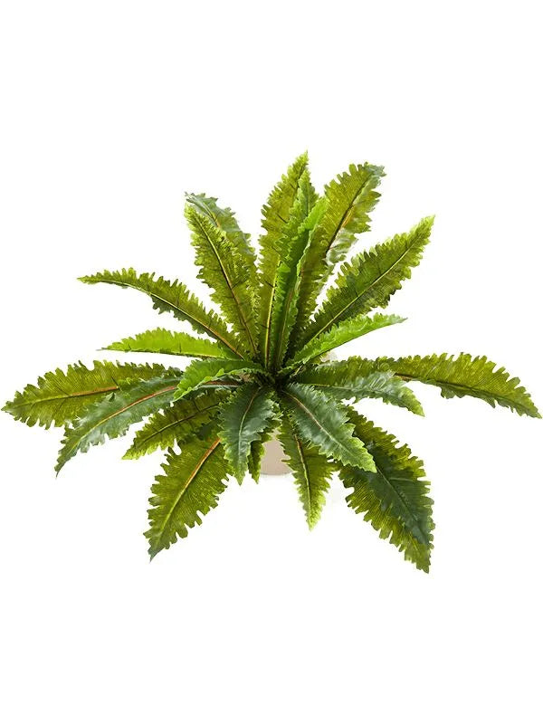Fern Margarintum Artificial Plant Premium Faux 70cm Height