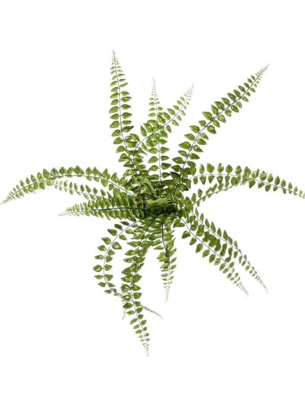 Fern Pellaea Artificial Plant Premium Faux 50cm Height