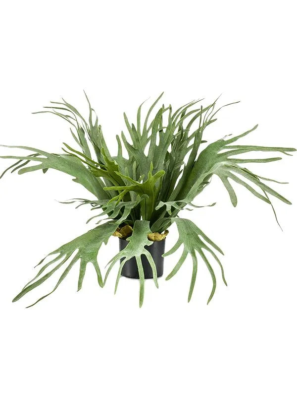 Fern Staghorn Artificial Plant Premium Faux 65cm Height