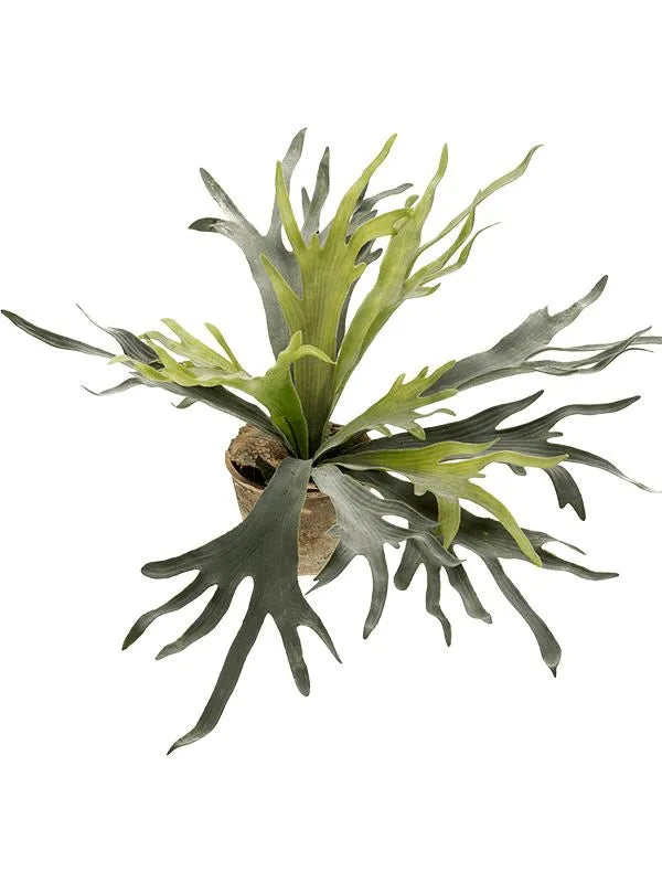 Fern Staghorn Artificial Plant Premium Faux 75cm Height