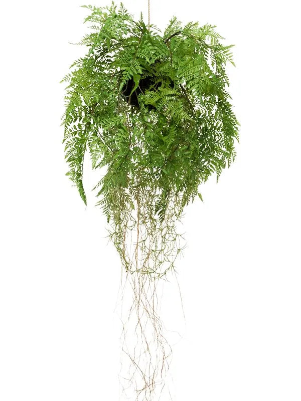 Fern with roots Artificial Plant Premium Faux 35cm Height