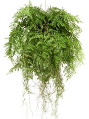 Fern with roots Artificial Plant Premium Faux 55cm Height
