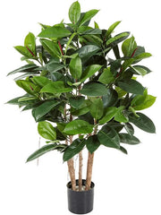Ficus Elastica Artificial Plant Premium Faux 120cm Height