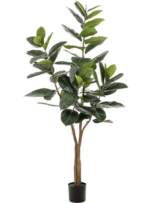 Ficus Elastica Artificial Plant Premium Faux 180cm Height