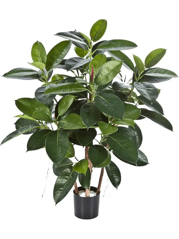 Ficus Elastica Artificial Plant Premium Faux 90cm Height