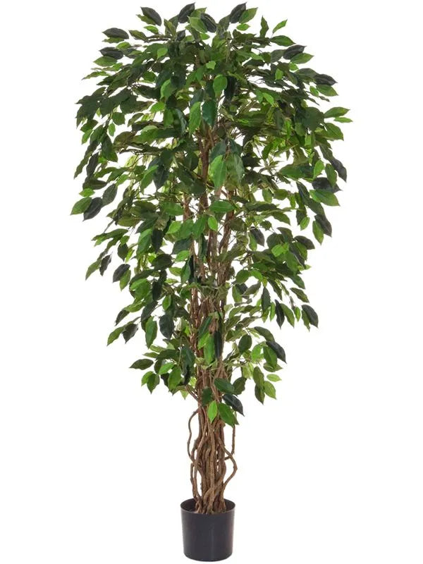 Ficus Liana Artificial Plant Premium Faux 150cm Height