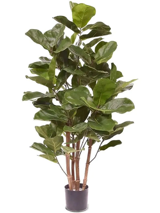 Ficus Lyrata Artificial Plant Premium Faux 105cm Height