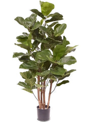 Ficus Lyrata Artificial Plant Premium Faux 105cm Height