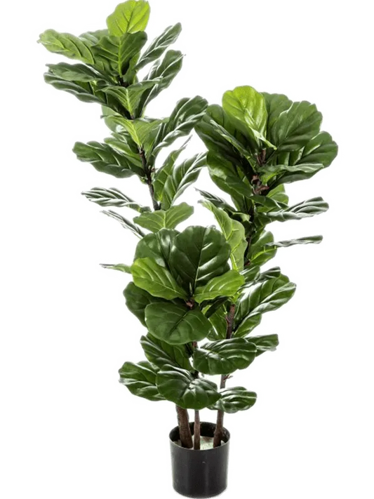 Ficus Lyrata Artificial Plant Premium Faux 130cm Height