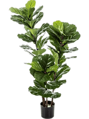 Ficus Lyrata Artificial Plant Premium Faux 130cm Height
