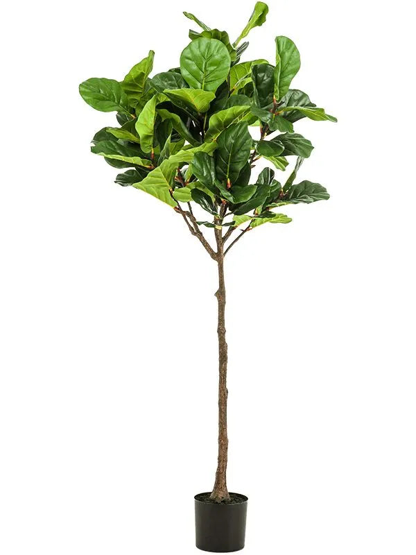Ficus Lyrata Artificial Plant Premium Faux 195cm Height