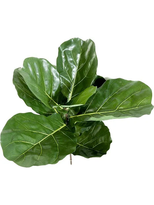 Ficus Lyrata Fiddle Artificial Plant Premium Faux 58cm Height
