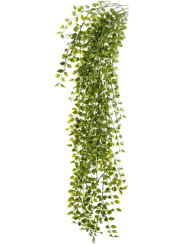 Ficus Pumila Artificial Plant Premium Faux 80cm Height