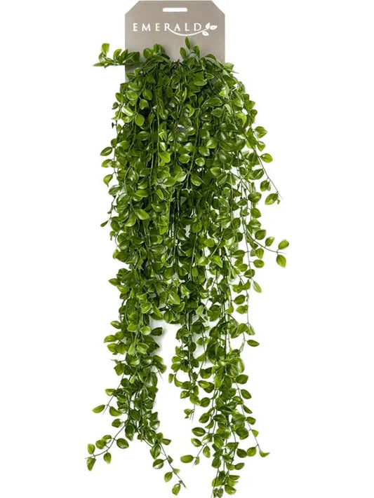 Ficus Pumila Artificial Plant Premium Faux 80cm Height