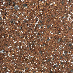 Ficus & Palm Potting Mix 2.5ltr