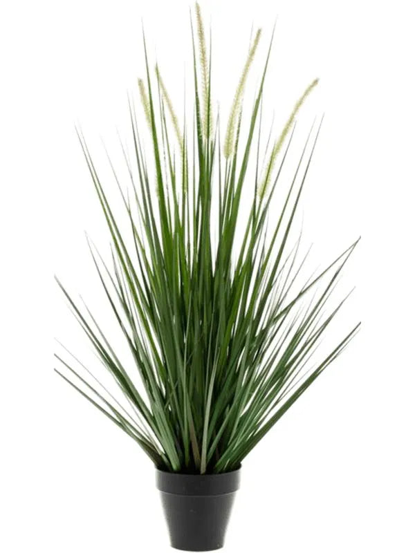 Grass Alopecurus Artificial Plant Premium Faux 53cm Height