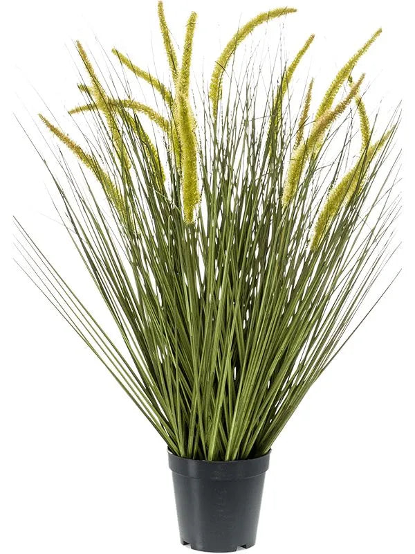 Grass Cattail Artificial Plant Premium Faux 70cm Height