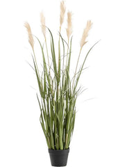 Grass Pampas Artificial Plant Premium Faux 130cm Height