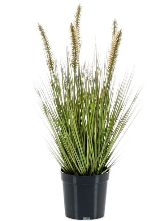 Grass Pennisetum Artificial Plant Premium Faux 45cm Height