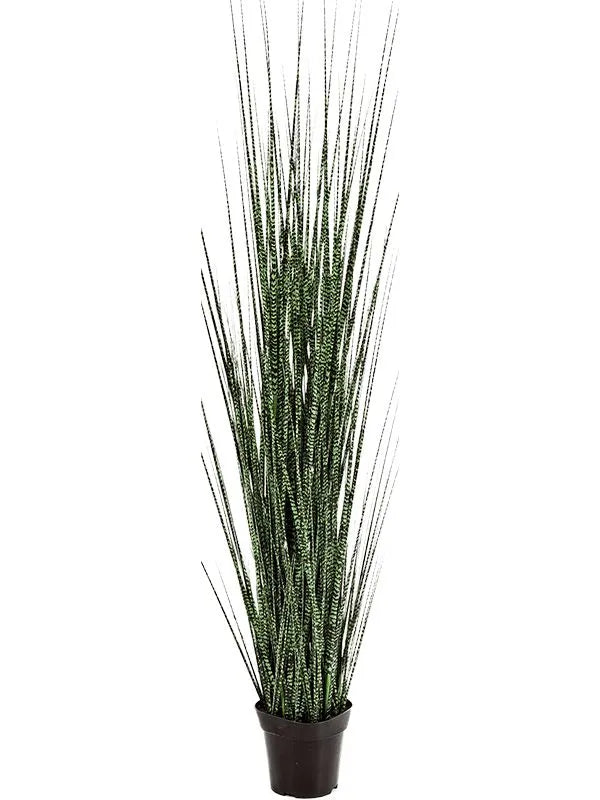 Grass Zebra Gracilis Artificial Plant Premium Faux 120cm Height