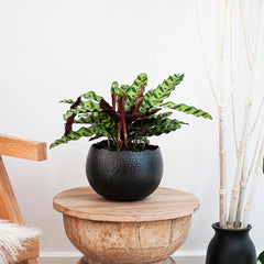 Hammered Bowl Black & Copper 30cm