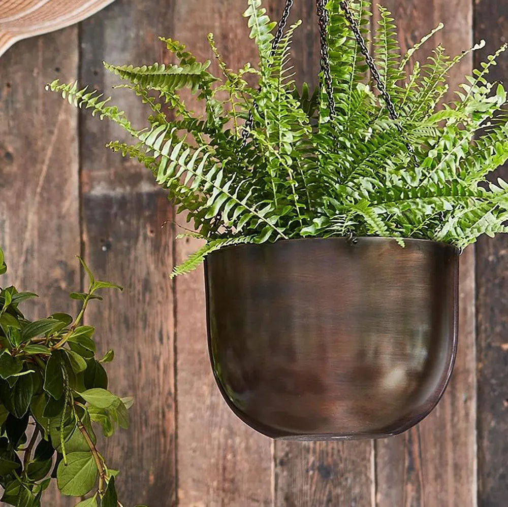 Indoor Mayfair Mocha Hanging Planter 16cm Height 21cm Dia