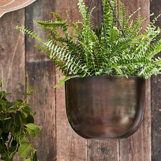 Indoor Mayfair Mocha Hanging Planter 16cm Height 21cm Dia