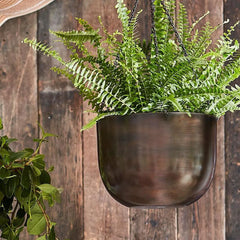 Indoor Mayfair Mocha Hanging Planter 16cm Height 21cm Dia