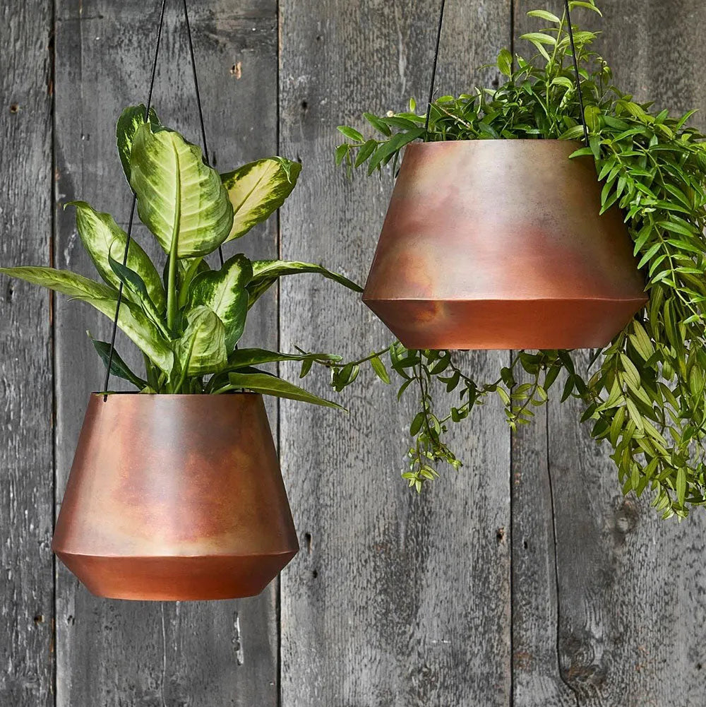 copper indoor hanging planter Indoor Soho Aged Copper Hanging Planter with Leather Strap 15cm Height – Plants For All Seasons