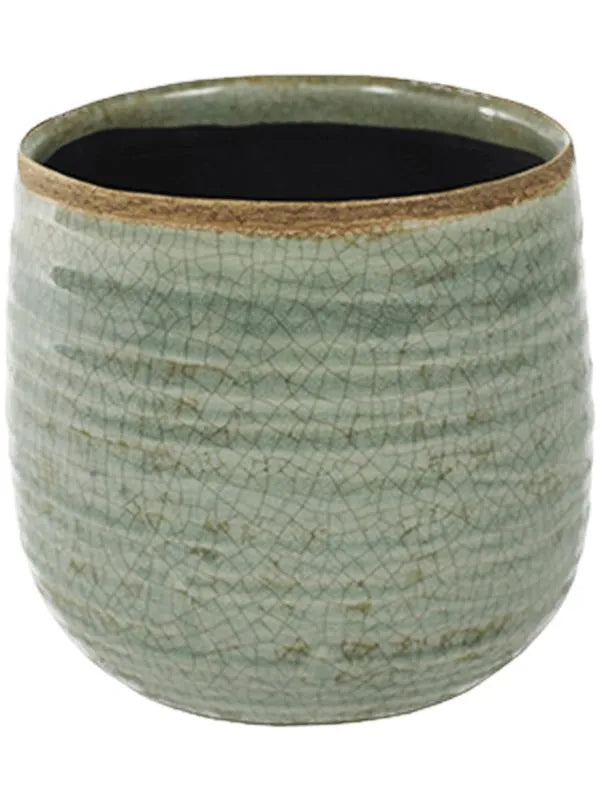 Iris Plant Pot 14cm Height 12.5cm Dia Pot Mint