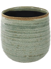 Iris Plant Pot 14cm Height 12.5cm Dia Pot Mint