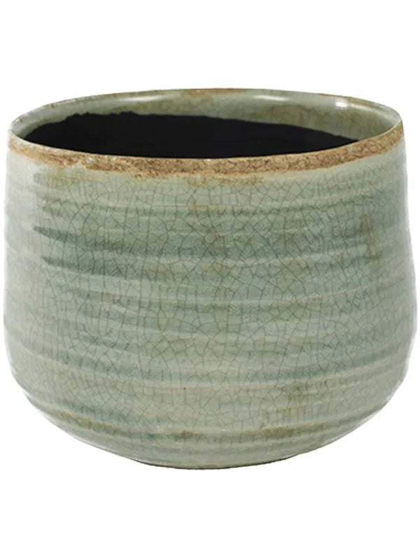 Iris Plant Pot 15cm Height 14.5cm Dia Pot Mint