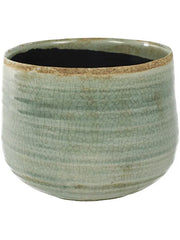 Iris Plant Pot 15cm Height 14.5cm Dia Pot Mint