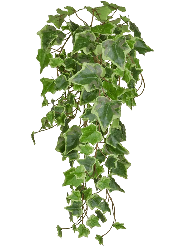 Ivy Green Variegated Artificial Plant Premium Faux 55cm Height