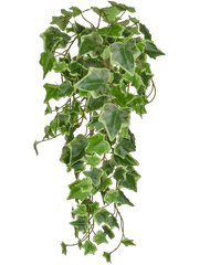 Ivy Green Variegated Artificial Plant Premium Faux 55cm Height