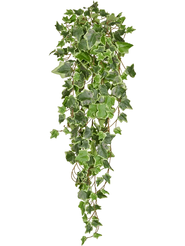 Ivy Green Variegated Artificial Plant Premium Faux 86cm Height