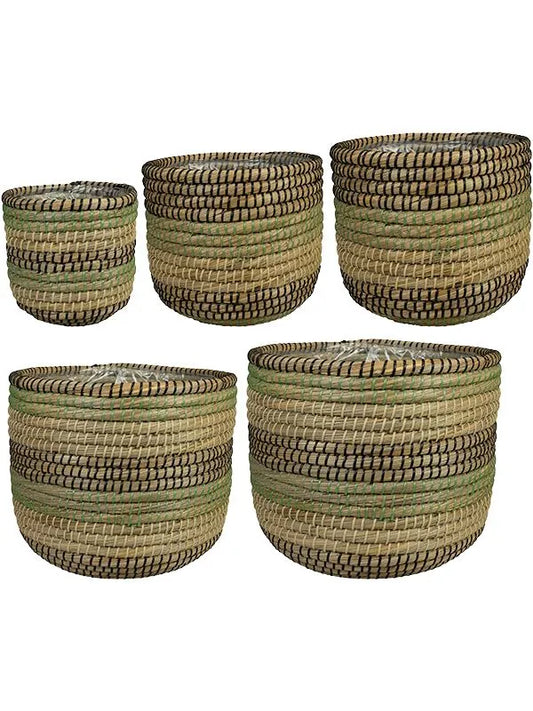 Jane Plant Pot 31cm Height cm Dia Pot Jungle (set of 5)
