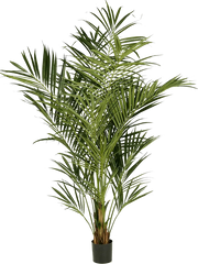 Kentia Artificial Plant Premium Faux 225cm Height