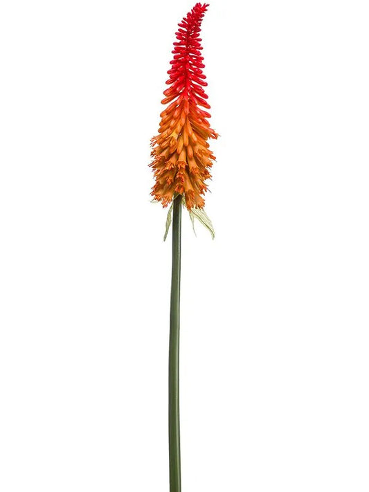 Kniphofia Artificial Plant Premium Faux 70cm Height