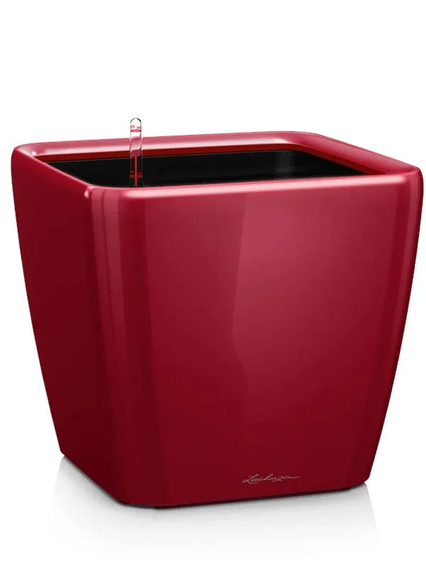 Lechuza Premium Quadro LS 21 Plant Pot 20cm Height 18.5cm Dia All Inclusive Set Scarlet Red High-gloss