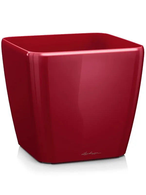 Lechuza Quadro Plant Pot 20cm Height 20cm Dia Scarlet Red High-gloss