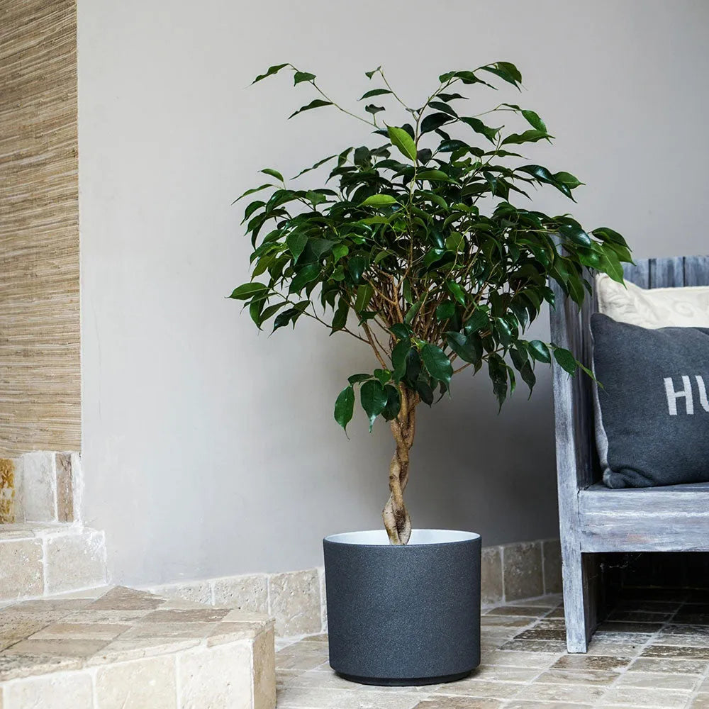 Leon Granite Planter 32cm Dia