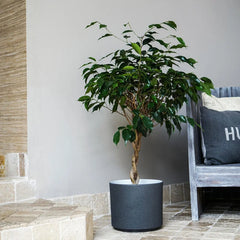 Leon Granite Planter 32cm Dia