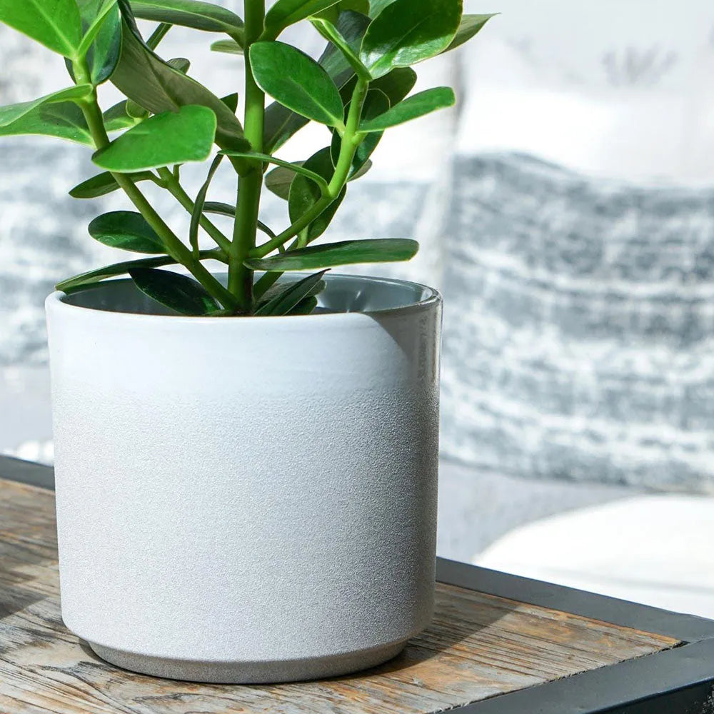 Leon White Planter 28cm