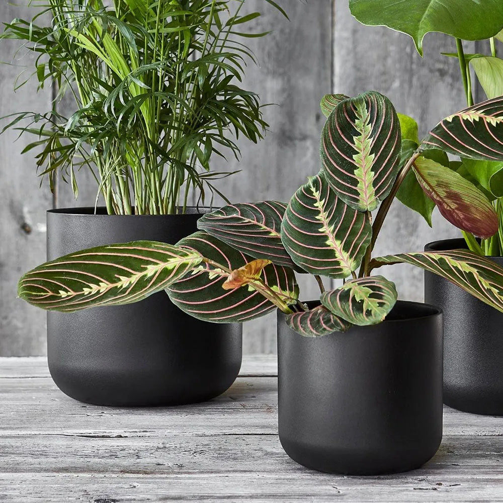 Lisbon Planter Anthracite 26cm Height 26cm Dia