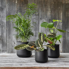 Lisbon Planter Anthracite 26cm Height 26cm Dia